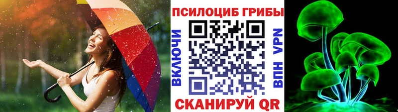 сайты даркнета как зайти сколько стоит KRAKEN tor Касимов Галлюциногенные грибы Psilocybine cubensis